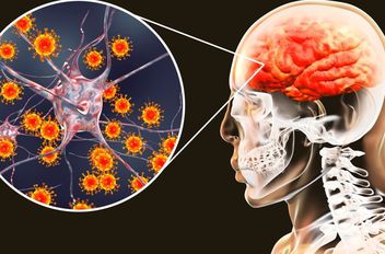 الصحة تنفي وجود أي وباء في الطفيلة.. وفاة واحدة بسحايا بكتيرية غير وبائية
