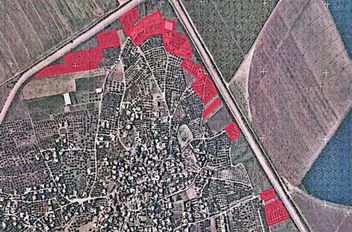 الاحتلال يصدر أمراً عسكرياً بإزالة الأشجار على مساحة 59 دونماً من محافظة جنين