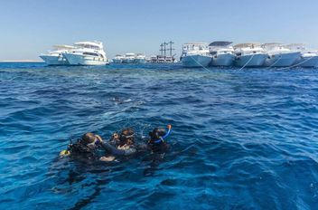 نجاة سياح من حادث غرق محقق في مصر
