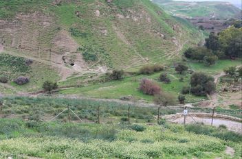 المنخفض الجوي الأخير شجّع المزارعين على البدء بالأعمال الزراعية المنوّعة في إربد