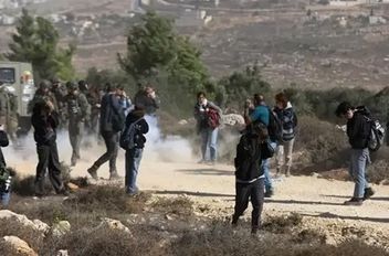 2350 اعتداء في الضفة خلال شهر أكتوبر
