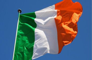 فرض حظر إلزامي على نقل الطيور في إيرلندا بعد تفشي إنفلونزا الطيور

