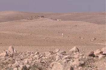 من موقع المدينة الجديدة