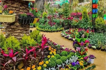 وزير الزراعة المصري: الأردن أحدث طفرة زراعية في ظل ندرة المياه
