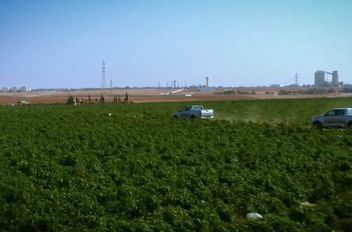 نهج المنار تطلق سلسلة "مشاريع من بلدي" دعماً للتنمية الوطنية وتمكين المجتمع الأردني