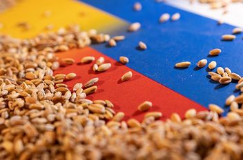 روسيا تخفض رسوم تصدير الحبوب إلى الصفر
