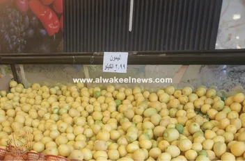 أسعار الليمون تبلغ 3 دنانير للكيلو في الأسواق المحلية