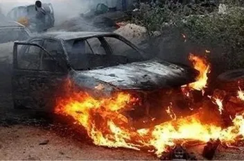 ارشيفية