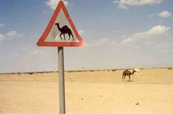 تعبيرية
