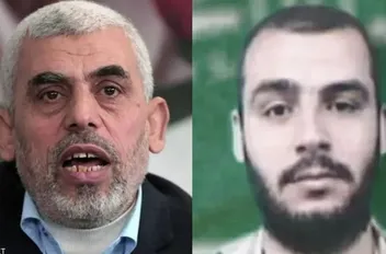 ارشيفية