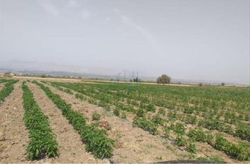 تعبيرية