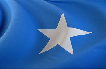 العلم الصومالي