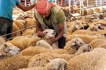 تعبيرية