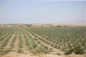 تعبيرية