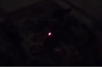 لقطة من الفيديو