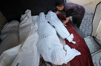 ارشيفية