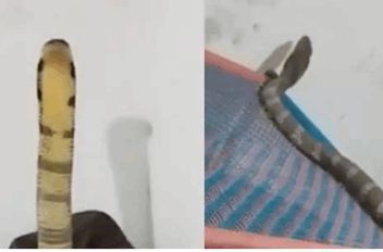 قبل