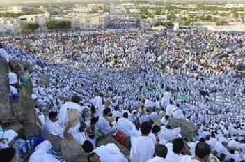 ارشيفية