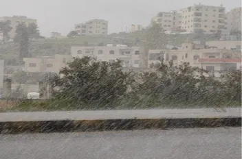 أرشيفية