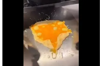 7806