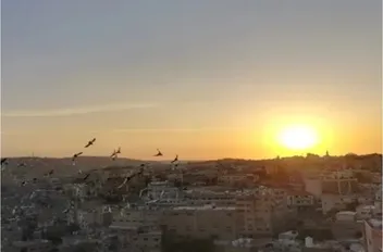 ا