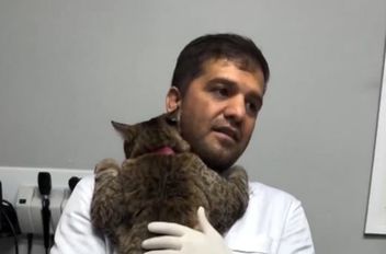 تالةا