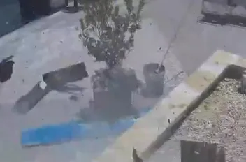 لقطة من مقطع الفيديو