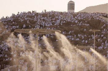ارشيفية