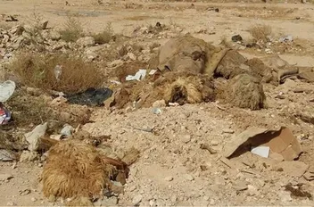 تعبيرية