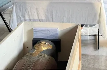 مصر تستعيد كنوزها المهربة من بلجيكا