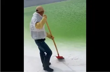 ربي