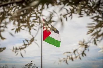 علم فلسطين