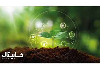 فبا