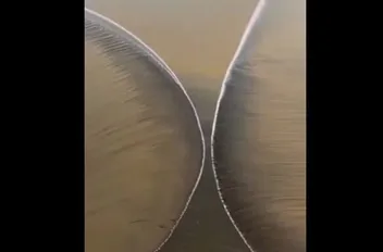 قبقب