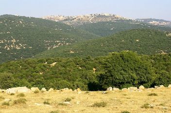 تعبيرية