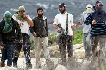 ارشيفية