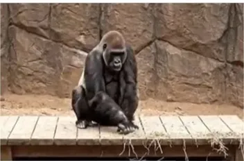 عه