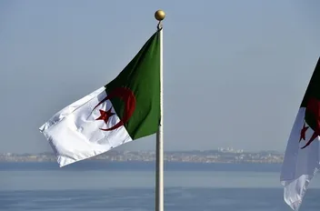 علم الجزائر