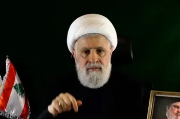 شكوى قضائية ضد نعيم قاسم .. بعد اتهامات بإثارة الفتنة