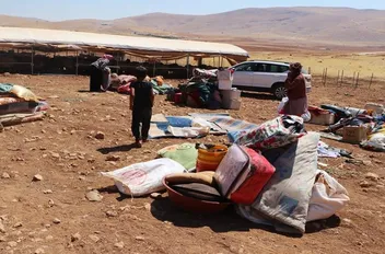 ارشيفية