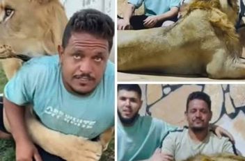 من دعابة إلى السجن .. حبس ليبي أطلق أسداً على عامل مصري