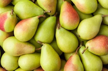 الإجاص