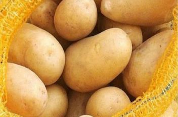 حكمخنتةى