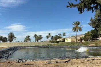 تعبيرية