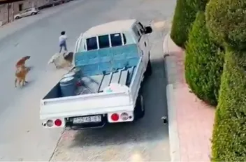 لقطة من المقطع