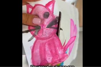 65656