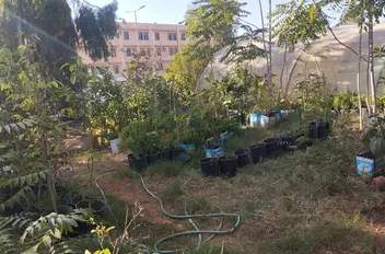 جانب من الاعتداءات