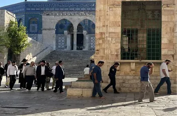 باحات المسجد الأقصى المبارك