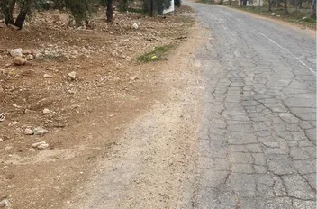ت