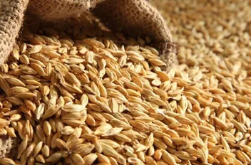 طرحت وزارة الصناعة والتجارة والتموين عطاءً لشراء كمية 100 أو 120 ألف طن شعير.

ودعت الوزارة، اليوم الأحد، الراغبين بالاشتراك إلى مراجعة قسم العطاءات للحصول على نسخة من دعوة العطاء تتضمن الشروط والمواص